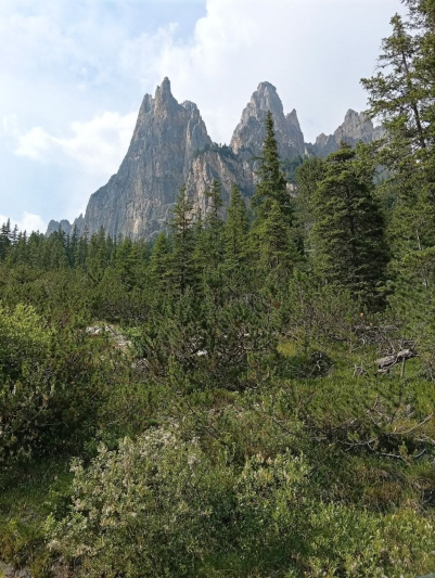 [Catinaccio - Dirupi di Larsec - Pala di Sócorda - Via La torre]